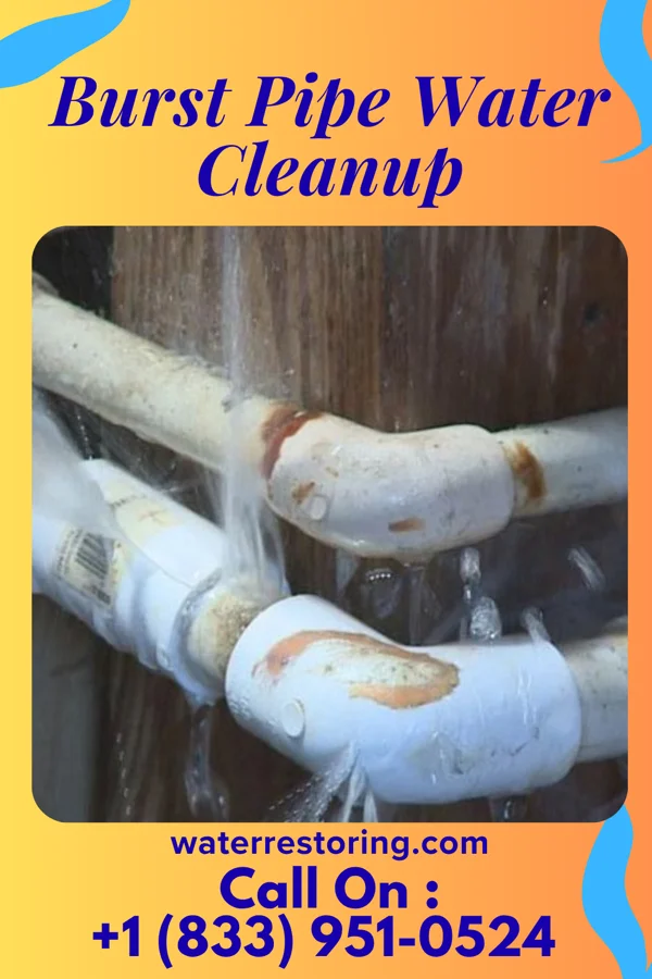 Burst Pipe Water Cleanup in Capac, MI