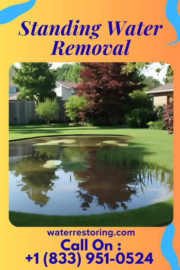 Standing Water Removal in Capac, MI